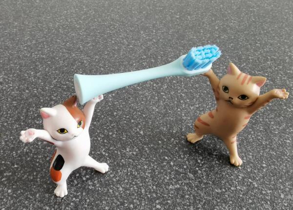 兒童電動(dòng)牙刷頭如何選擇？兒童電動(dòng)牙刷頭選購要點(diǎn)